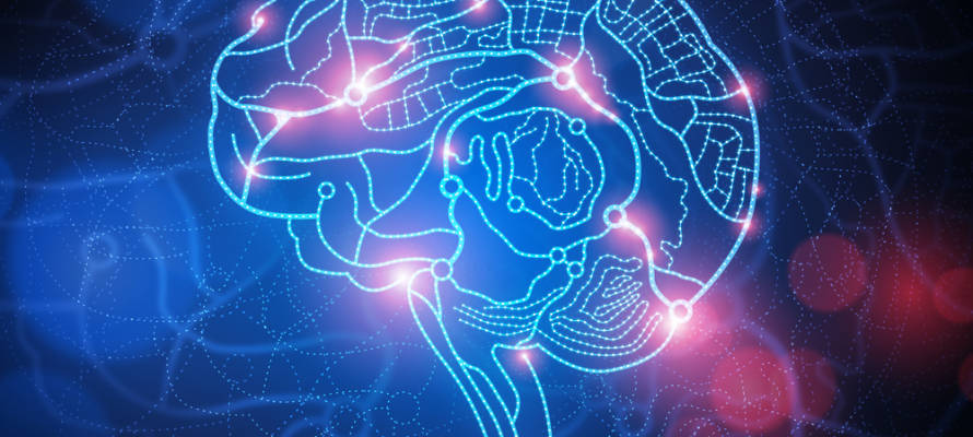 Mapping the brain.