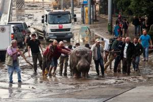 Tbilisi flooding