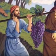 Beautiful produce of the Land of Israel