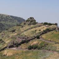 Gamla