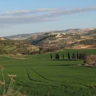 Elah Valley