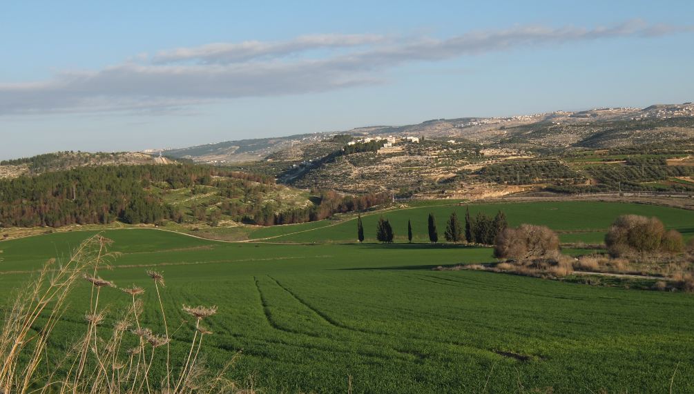 Elah Valley