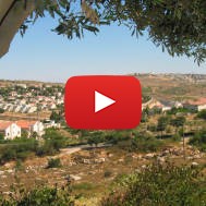 Elazar, Gush Etzion