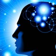 mystery of the brain