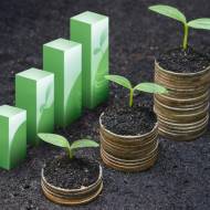 economic growth