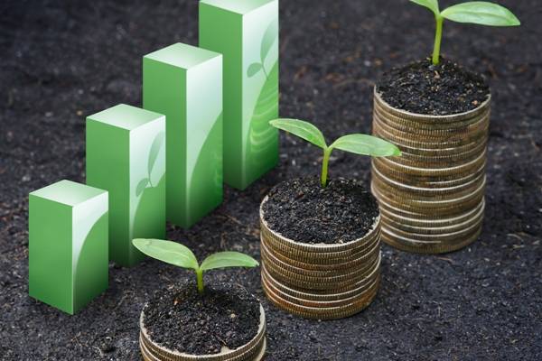 economic growth