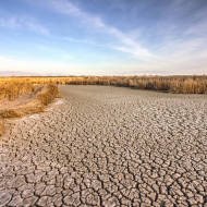 California drought