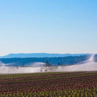 Irrigation
