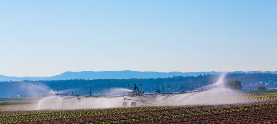 Irrigation