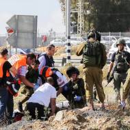 IDF medical