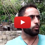 Palestinians Explain Motive for Aggression Against Israel
