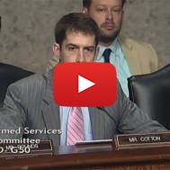 Senator Tom Cotton