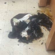 jerusalem synagogue desecration