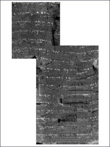 Ein Gedi scroll