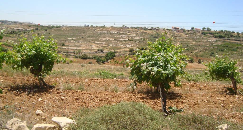 land of israel