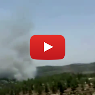 Brushfire Burns Outside Jerusalem as Moshav is Closed