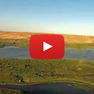 Breathtaking Galilee End of Summer Aloni