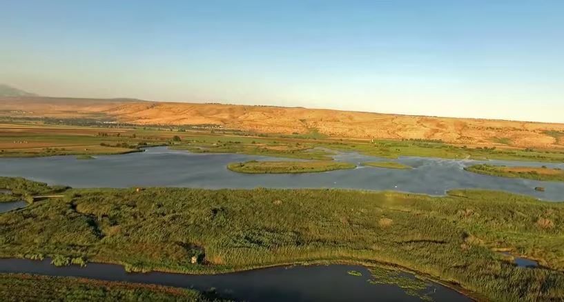 Breathtaking Galilee End of Summer Aloni