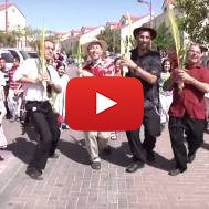 Shakin' the Lulav Song - Twist and Shout Parody