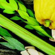Lulav and etrog