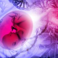 Israeli fetal test