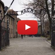 What the Media Won't Show You - Anti-Semitism Attacks on Jews