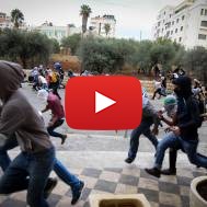 Palestinian protesters riot and throw rocks at Israeli security forces