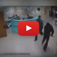 Hamas Terrorists Nabbed by Israeli Security Forces