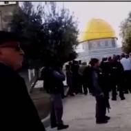 MK basel ghattas on temple mount