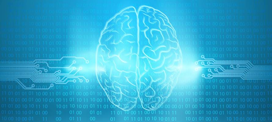 Digital brain