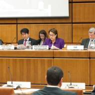 UN Outer Space Committee