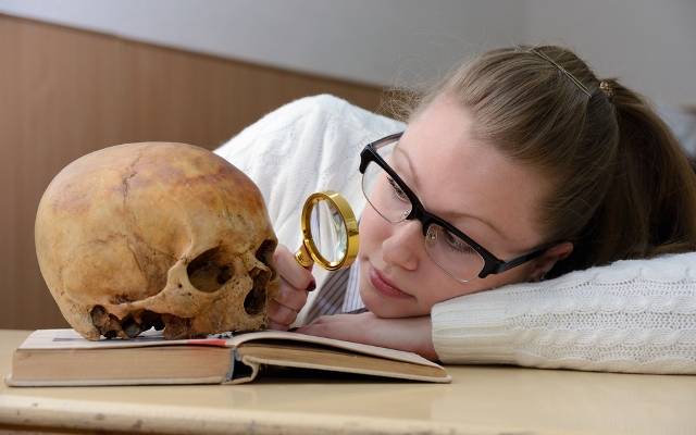 Anthropology
