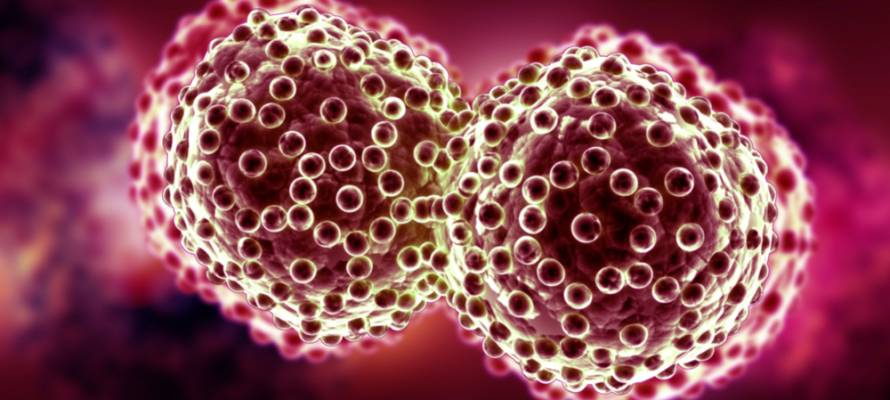 cancer cells