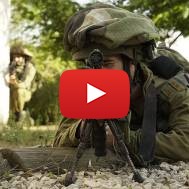 IDF
