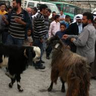 Palestinian economy