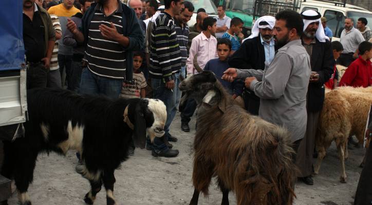 Palestinian economy