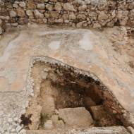 Tel Shilo