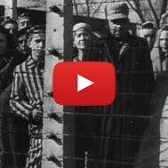 Holocaust Survivors Liberated but Far From Free
