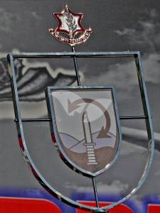 IDF insignia