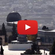 Palestinian Lies Kill