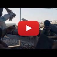 Yaron Bob Transforming Terror Into a Symbol of Hope and Peace