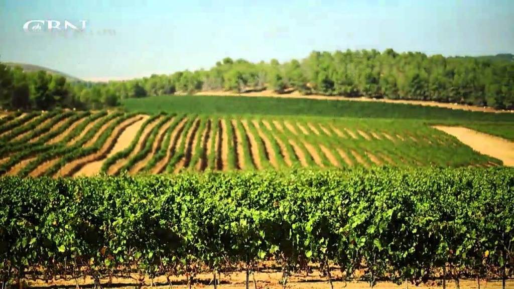 Israeli agricultural innovation