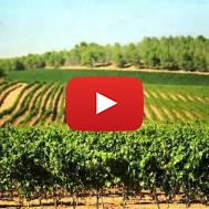 Israeli agricultural innovation