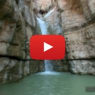 Ein Gedi