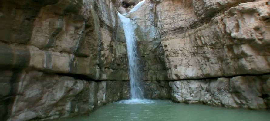 Ein Gedi
