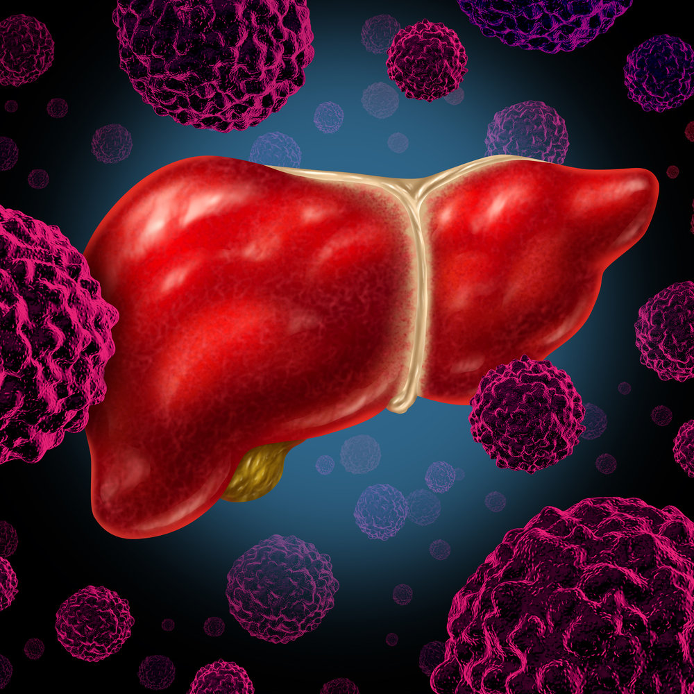 Liver