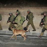 IDF in Judea and Samaria