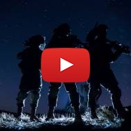 IDF