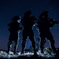IDF