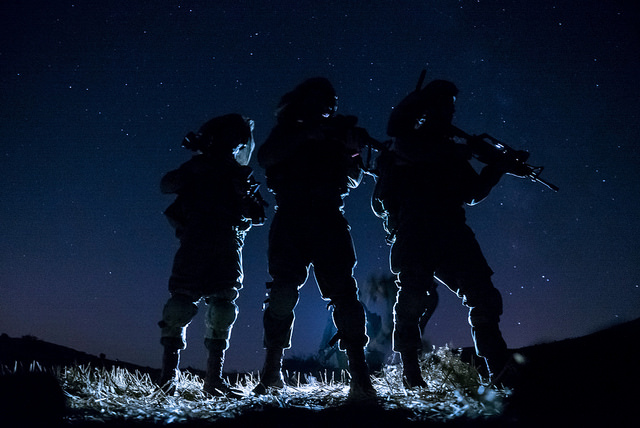 IDF